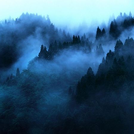 "Mount'N Mist" Lejlighed Ella Eksteriør billede